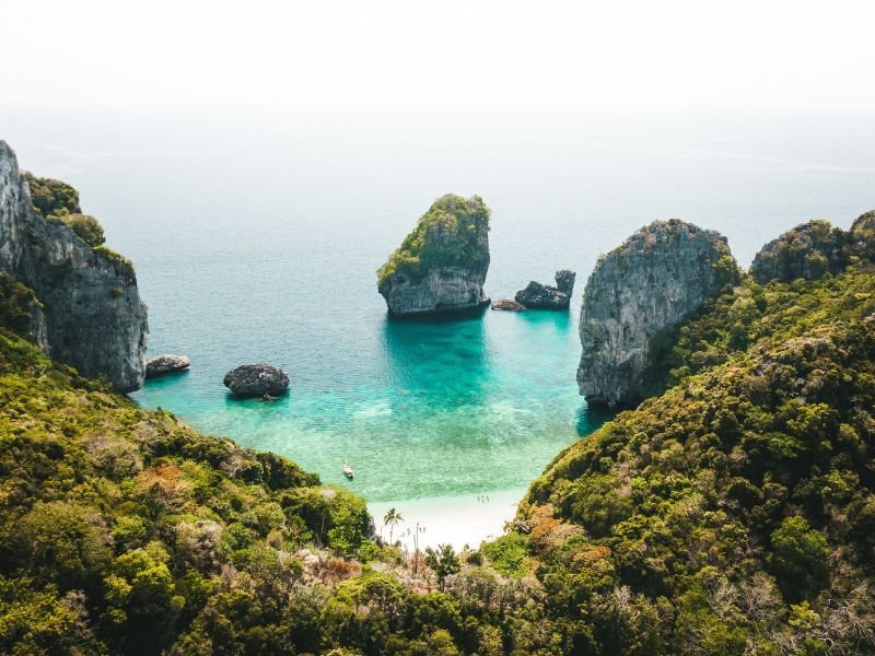 Hair Transplant in Thailand - the Risks Outweigh the Savings