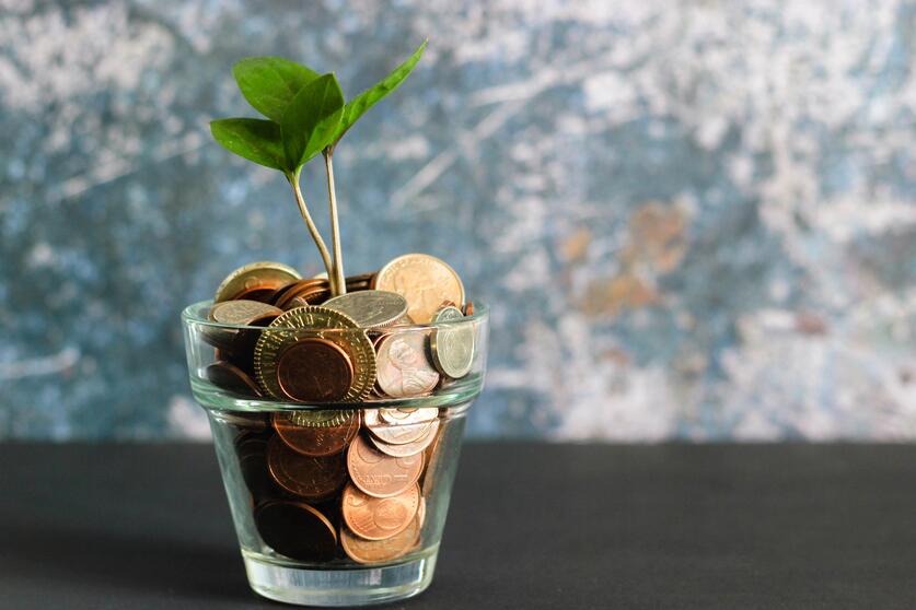 How Much Does a Hair Transplant Cost?
